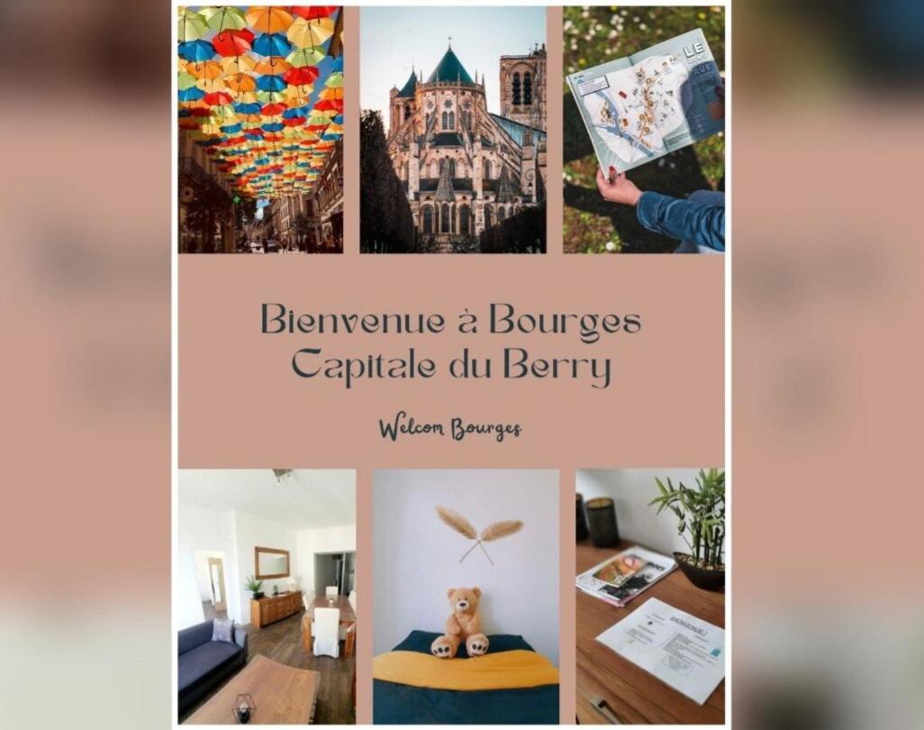 Lumineux & Convivial Apartment Bourges Bagian luar foto